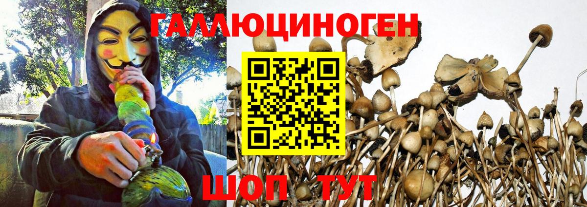 Воскресенск  Псилоцибиновые грибы Magic Shrooms  Вход с VPN  Галлюциногенные грибы мицелий 