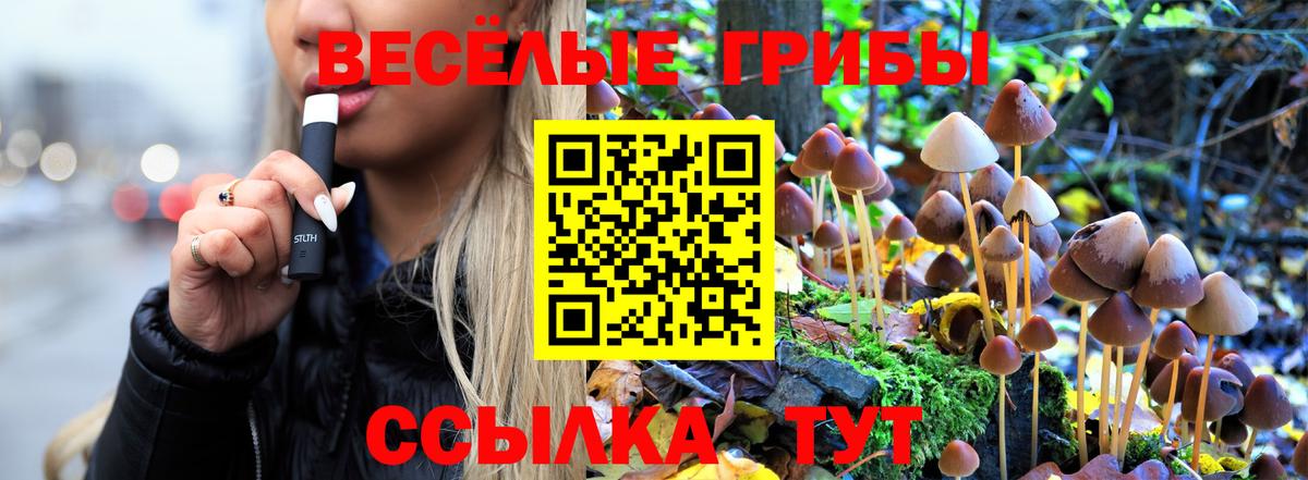 Псилоцибиновые грибы Psilocybe Воскресенск